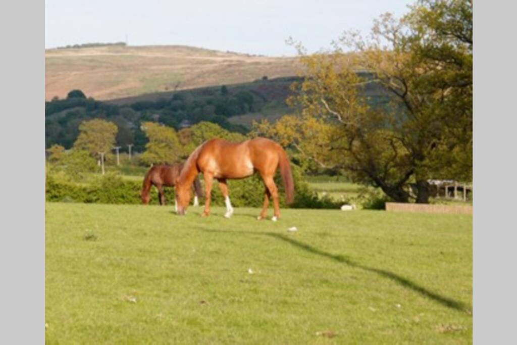 Upper Heath Farm - Stable Cottage Ludlow เครเวนอาร์มส ภายนอก รูปภาพ